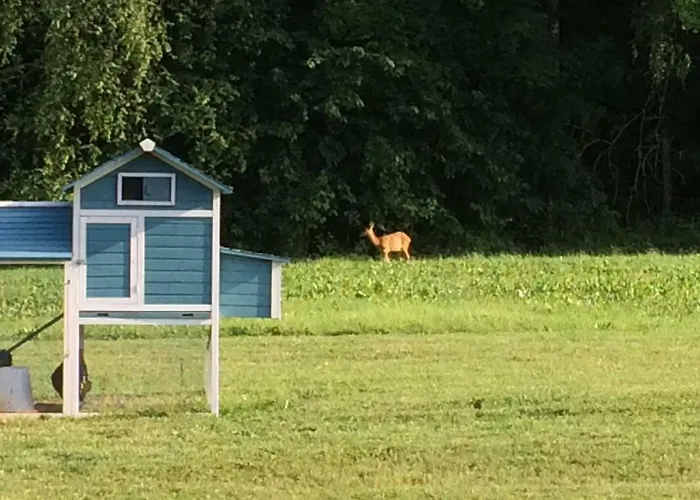 - Restaurant La Claire Foret Hotel 3*